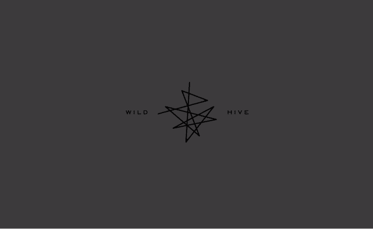 Wildhive_Branding1